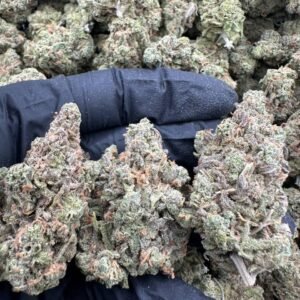 Biscotti Kush Mints Strain