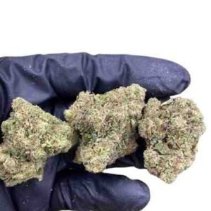 Blackberry Kush Strain