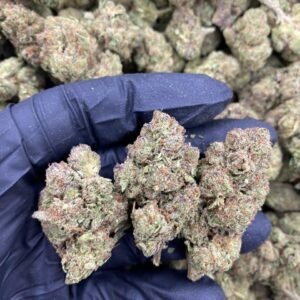 Coal Creek Kush Strain