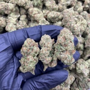 Commerce City Kush Strain