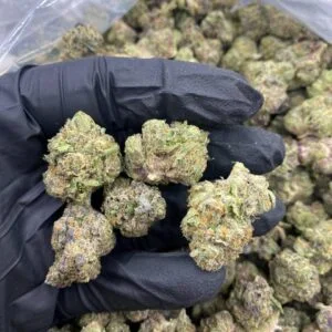 Gelonade Weed Strain