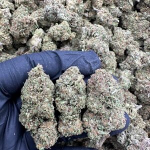 Hollywood Pure Kush Strain