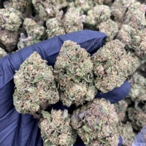 Kansas City Kush Strain