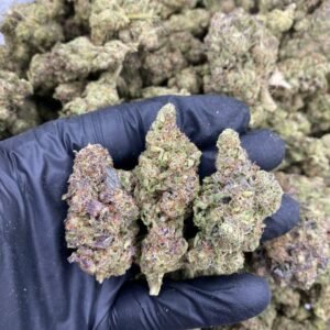 Kush Mountains Strain