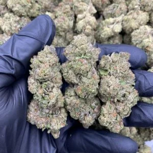 Kush and Cream Strain