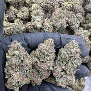 Super Boof Weed Strain