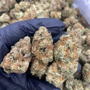 Carbon Fiber Weed Strain